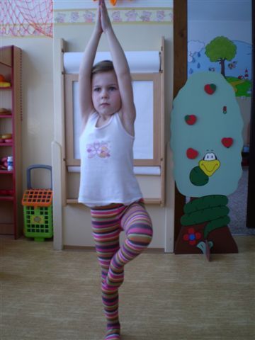 jga zvtit